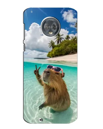 Чехол для Motorola MOTO G6 с картинкой «Капибара на море»