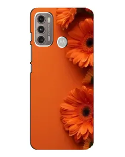 Чехол для Motorola MOTO G60 с картинкой «Оранжевые герберы»