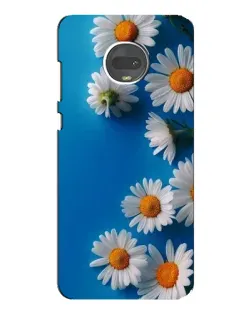 Чехол для Motorola MOTO G7 Plus с картинкой «Белоснежные маргаритки» Чехол для Motorola MOTO G7 Plus с картинкой «Белоснежные маргаритки»