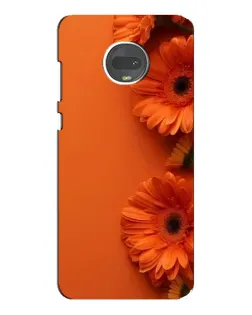Чехол для Motorola MOTO G7 Plus с картинкой «Оранжевые герберы» Чехол для Motorola MOTO G7 Plus с картинкой «Оранжевые герберы»