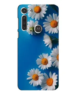 Чехол для Motorola MOTO G8 с картинкой «Белоснежные маргаритки»