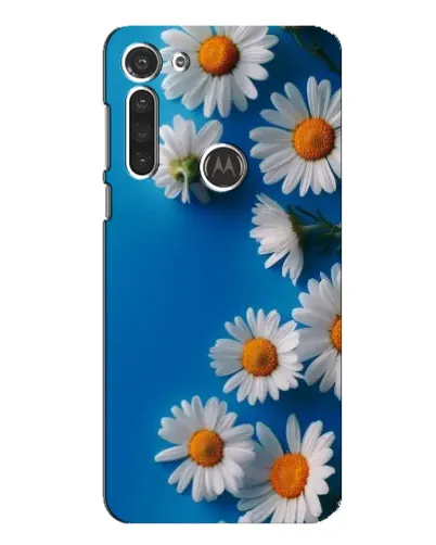 Чехол для Motorola MOTO G8 с картинкой «Белоснежные маргаритки»