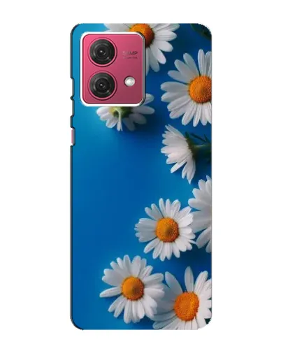 Чехол для Motorola MOTO G84 с картинкой «Белоснежные маргаритки» Чехол для Motorola MOTO G84 с картинкой «Белоснежные маргаритки»