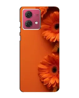 Чехол для Motorola MOTO G84 с картинкой «Оранжевые герберы»