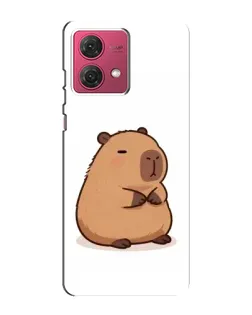Чехол для Motorola MOTO G84 с картинкой «Толстенькая капибара»