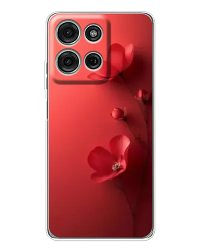 Чехол для Motorola Moto G96 5G с картинкой «Маковые соцветия»