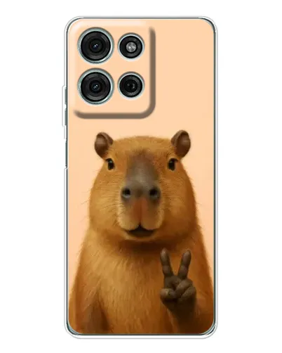 Чехол для Motorola Moto G96 5G с картинкой «Капибара виктория» Чехол для Motorola Moto G96 5G с картинкой «Капибара виктория»