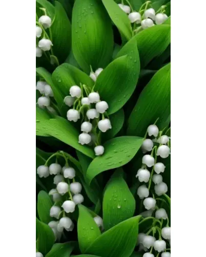 Чехол для Универсальные наушники с картинкой «Ландыши в зелени»