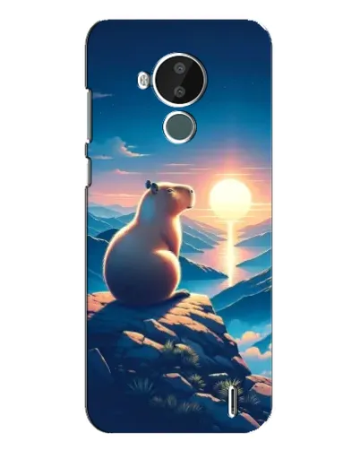 Чохол для Nokia C30 з картинкою «Захід сонця з капібарою»