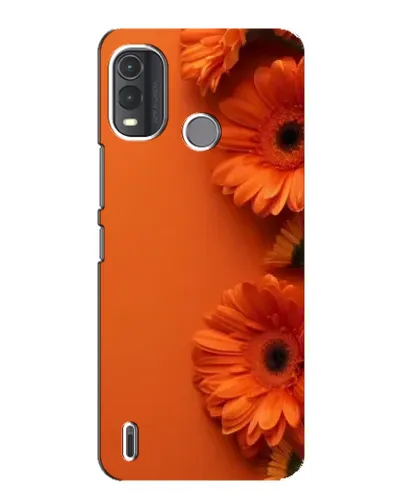 Чехол для Nokia G11 Plus с картинкой «Оранжевые герберы»