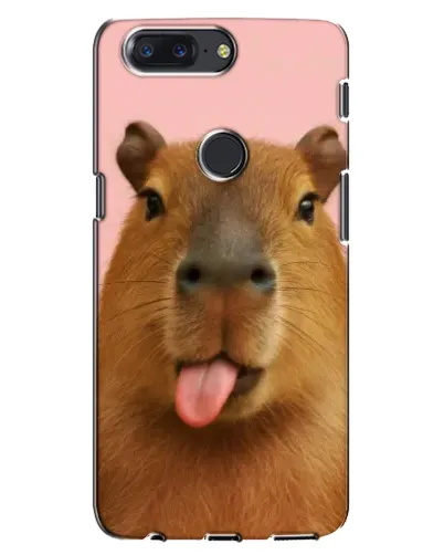 Чохол для OnePlus 5T з картинкою «Капібара з язиком»