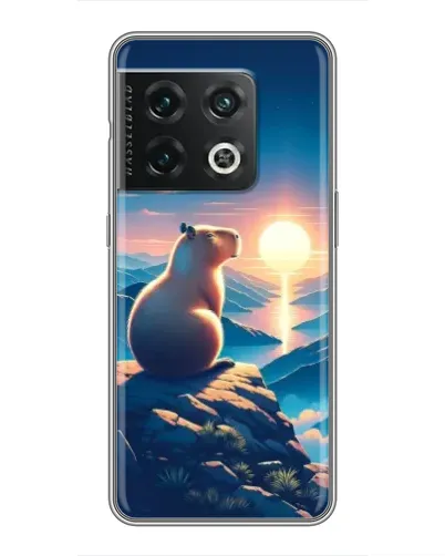 Чохол для OnePlus 10 Pro з картинкою «Захід сонця з капібарою»