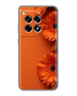 Чохол для OnePlus 12 Pro з картинкою «Помаранчеві гербери»