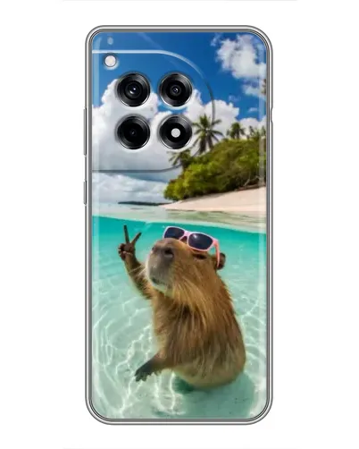 Чехол для OnePlus 12 Pro с картинкой «Капибара на море» Чехол для OnePlus 12 Pro с картинкой «Капибара на море»