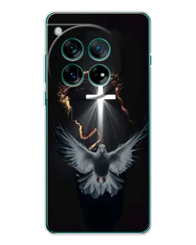 Чохол для OnePlus 12 з картинкою «Голуб та Світло»