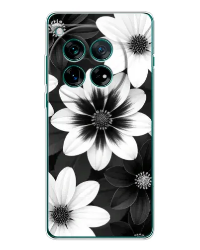 Чохол для OnePlus 12 з картинкою «Монохромні айстри»