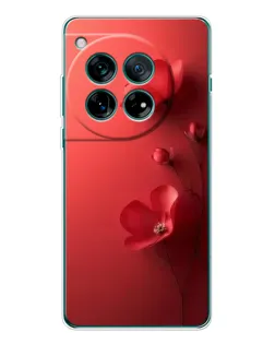 Чохол для OnePlus 12 з картинкою «Макові суцвіття» Чохол для OnePlus 12 з картинкою «Макові суцвіття»