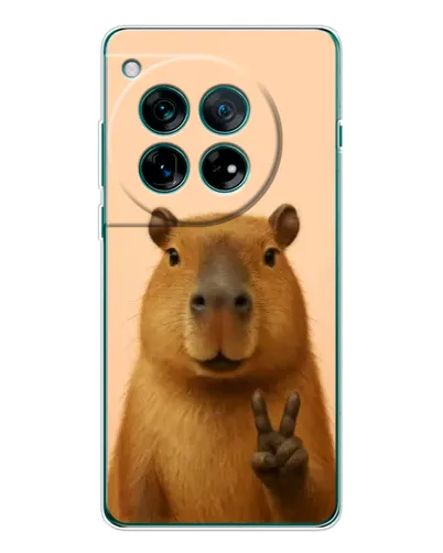 Чехол для OnePlus 12 с картинкой «Капибара виктория»