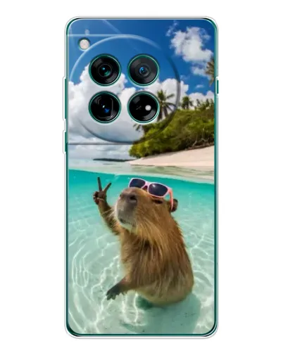 Чехол для OnePlus 12 с картинкой «Капибара на море»