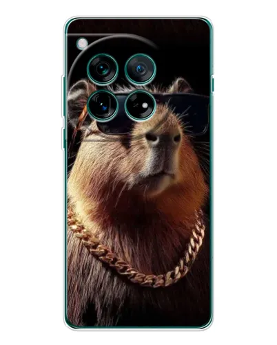 Чехол для OnePlus 12 с картинкой «Капибара золотая цепь»