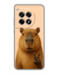 Чехол для OnePlus 12R с картинкой «Капибара виктория»