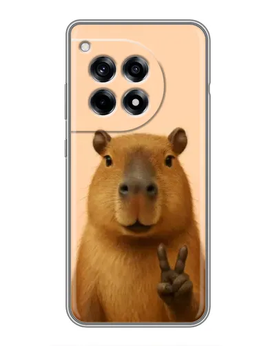 Чехол для OnePlus 12R с картинкой «Капибара виктория» Чехол для OnePlus 12R с картинкой «Капибара виктория»