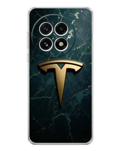 Чехол для OnePlus 13 с картинкой «Мраморная Tesla Gold»