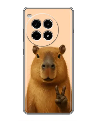 Чехол для OnePlus Ace 3 Pro с картинкой «Капибара виктория»