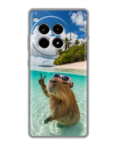 Чехол для OnePlus Ace 3 Pro с картинкой «Капибара на море»