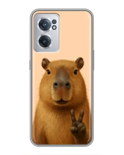 Чехол для OnePlus Nord CE 2 Lite 5G с картинкой «Капибара виктория» Чехол для OnePlus Nord CE 2 Lite 5G с картинкой «Капибара виктория»