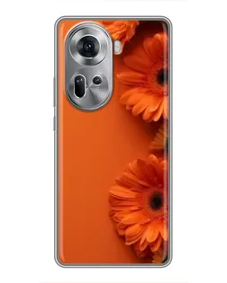 Чехол для OPPO Reno 11 5G с картинкой «Оранжевые герберы»