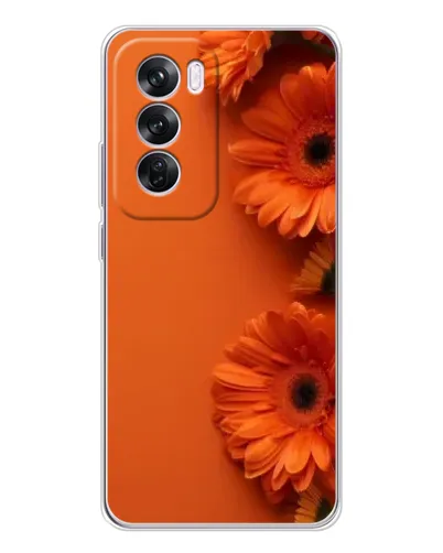 Чехол для OPPO Reno 12 Pro с картинкой «Оранжевые герберы»