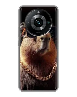 Чохол для Realme 11 Pro Plus з картинкою «Капібара золотий ланцюг»