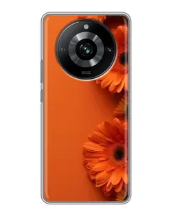 Чехол для Realme 11 с картинкой «Оранжевые герберы»