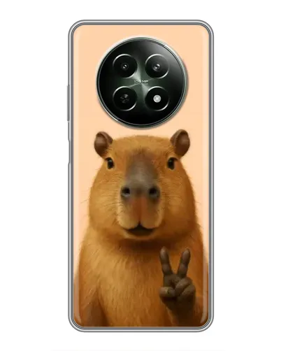 Чехол для Realme 12 5G с картинкой «Капибара виктория» Чехол для Realme 12 5G с картинкой «Капибара виктория»