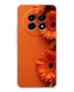 Чехол для Realme 13 Pro Plus с картинкой «Оранжевые герберы»