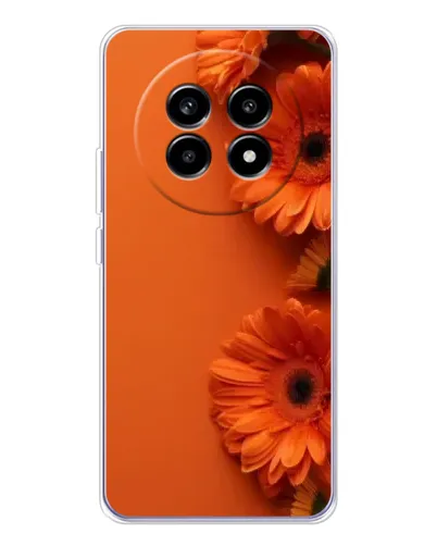 Чехол для Realme 13 Pro Plus с картинкой «Оранжевые герберы»