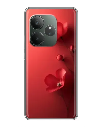 Чехол для Realme GT 6 с картинкой «Маковые соцветия» Чехол для Realme GT 6 с картинкой «Маковые соцветия»