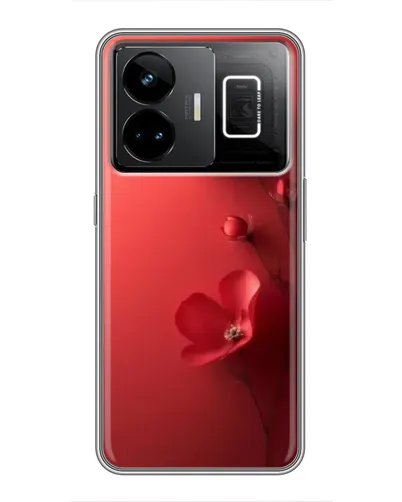 Чехол для Realme GT3 с картинкой «Маковые соцветия»