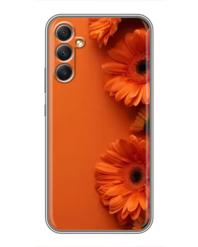 Чохол для Samsung Galaxy A34 з картинкою «Помаранчеві гербери»