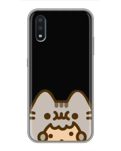 Чохол для Samsung Galaxy M10 (M105) з картинкою «Пушин на чорному»