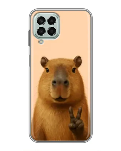 Чехол для Samsung Galaxy M33 (5G) (M336B) с картинкой «Капибара виктория»