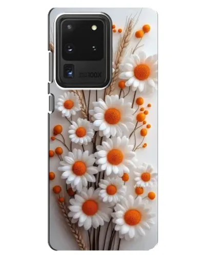 Чехол для Samsung Galaxy S20 Ultra с картинкой «Белые сухоцветы»