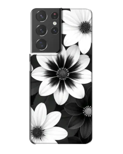 Чохол для Samsung Galaxy S21 Plus з картинкою «Монохромні айстри»