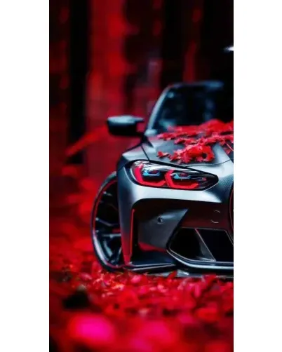 Чехол для Ulefone с картинкой «Спортивная BMW и цветы»