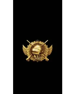 Чохол для Ulefone з картинкою «PUBG — помаранчевий градієнт» Чохол для Ulefone з картинкою «PUBG — помаранчевий градієнт»