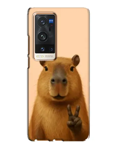 Чохол для Vivo X60 Pro Plus з картинкою «Капібара вікторія»