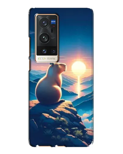 Чохол для Vivo X60 Pro Plus з картинкою «Захід сонця з капібарою»