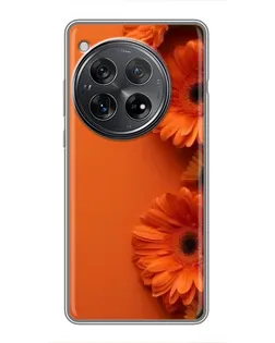 Чехол для Xiaomi Redmi K80 Pro с картинкой «Оранжевые герберы»