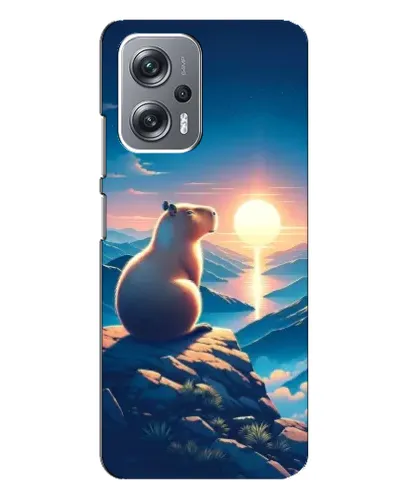 Чехол для Xiaomi Redmi Note 12 Pro Plus с картинкой «Закат солнца с капибарой»
